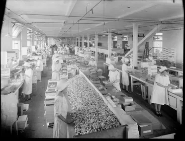 Image: Aulsebrooks factory, packing chocolates