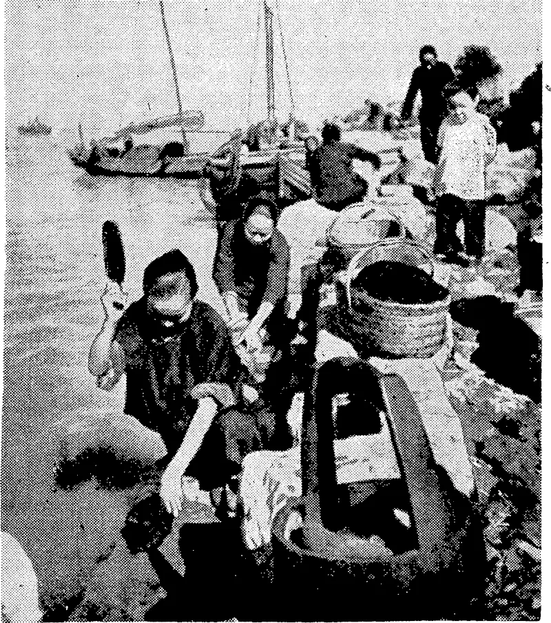Sport and General" Photo, Guards in London formed a Christmas-like spectacle on January 24 as they passed along in snow-covered greatcoats, fnarchingon the near side of the Mall to avoid the slippery road. „ . t • 7 • rr j tp7t 7 r ' "Evening Post," Photo. Community washing day in Hankow, w hen the Japanese troops pressed forward, leaving Hankow behind them, these Chinese women Wreckers are engaged in demolishing the Arcadia Hotel, at the were able to continue their household duties. They are scrubbing junction of Lambton Quay and Stout Street, to make room for the and pounding clothes on the bank of the Yangtze-kiang. new building which is to be an adjunct to the State Fire Building, (Evening Post, 20 January 1939)