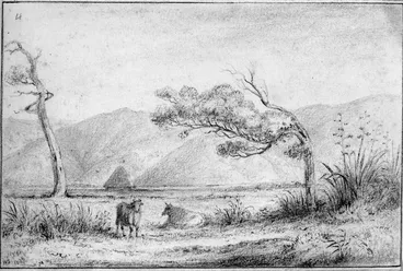 Image: [Swainson, William] 1789-1855 :Petoni Flat, seen from the Wellington road. [ca 1845]