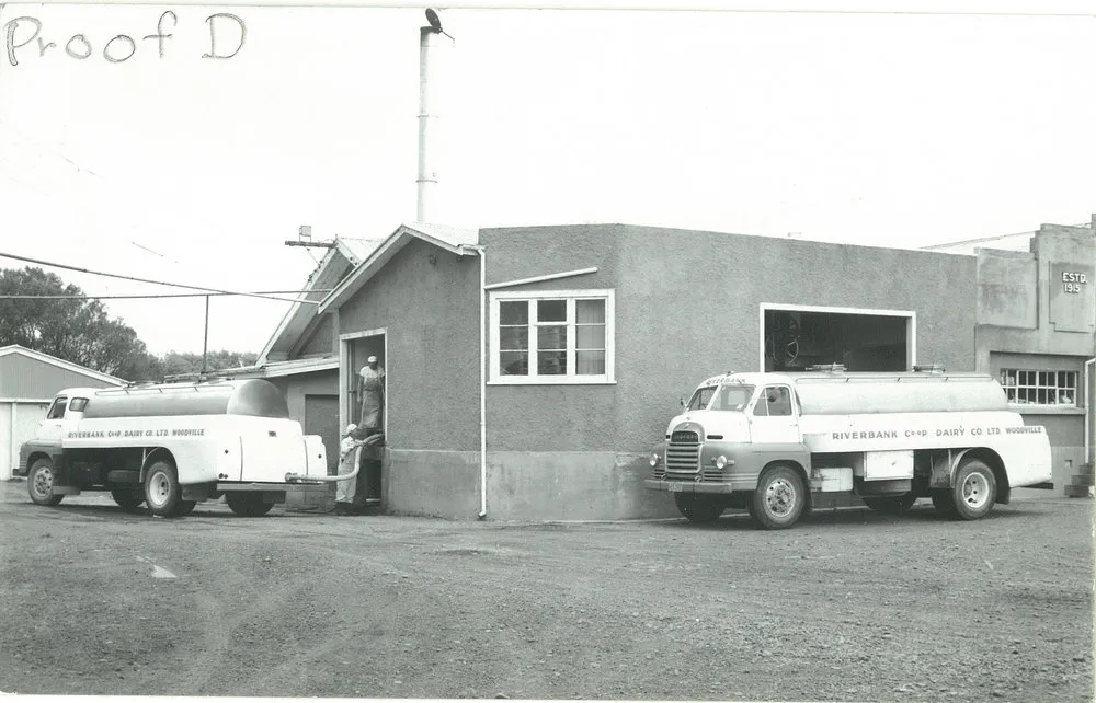 Riverbank Co-operative Dairy Company Limited. Milk tankers unloading at the factory, 1962