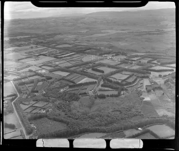 Image: Market gardens near the town of Kerikeri, Bay of Islands, Northland Region