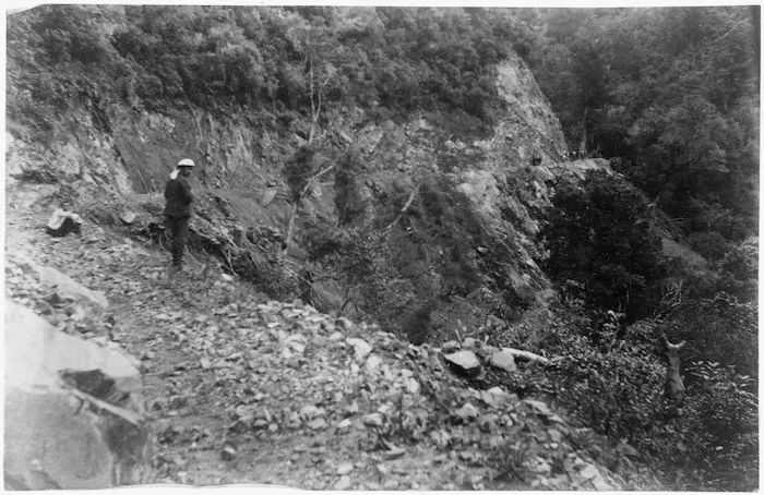 On Waikaremoana Road, Te Whaiti district