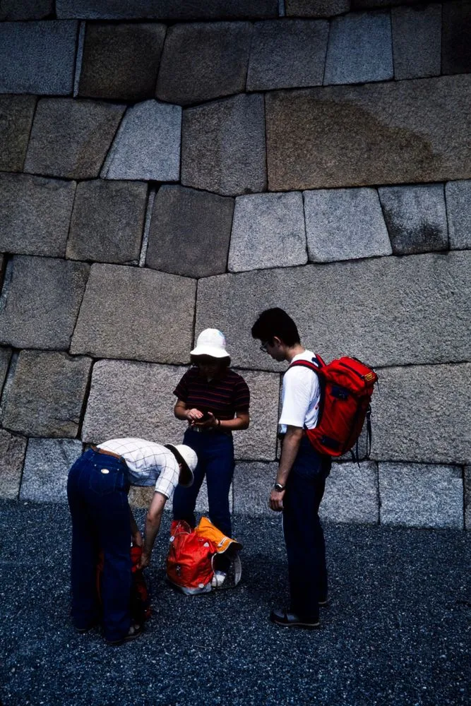 Japan Series: Niji Castle