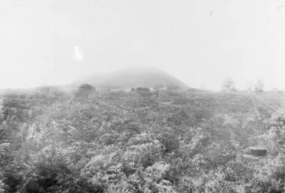 Maungarei Pa, western slopes