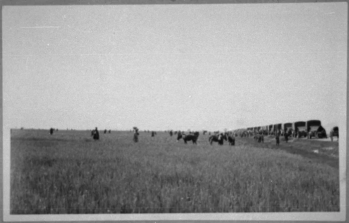 Aerial attack on a convoy, Greece, World War II