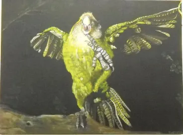 Image: Kakapo