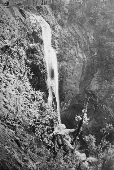 Image: Waitakere Falls, Cascade Kauri Park.