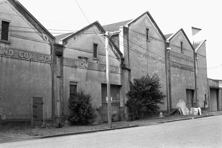 Briscoes and Company, Kenwyn Street, Parnell, 1973