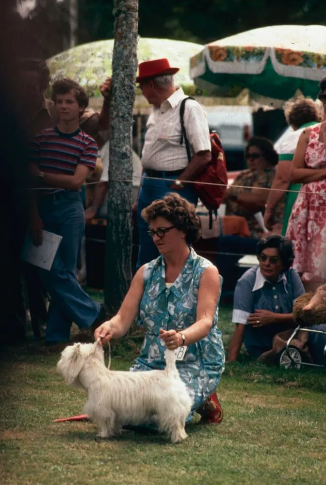 New Zealand People: Dog Show
