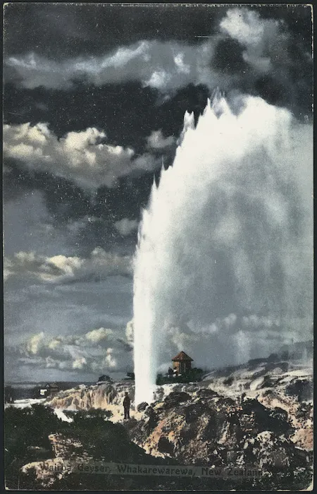 Postcard. Wairoa Geyser, Whakarewarewa, New Zealand. New Zealand post card (carte postale) issued by the New Zealand Government Department of Tourist & Health Resorts. [1911-1920?]