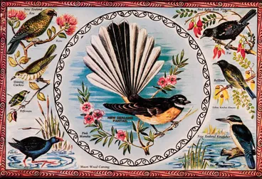 Image: New Zealand Tourist postcard - Birds