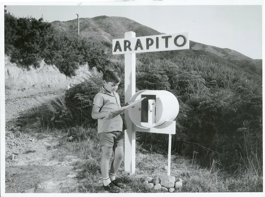 Arapito, Nelson