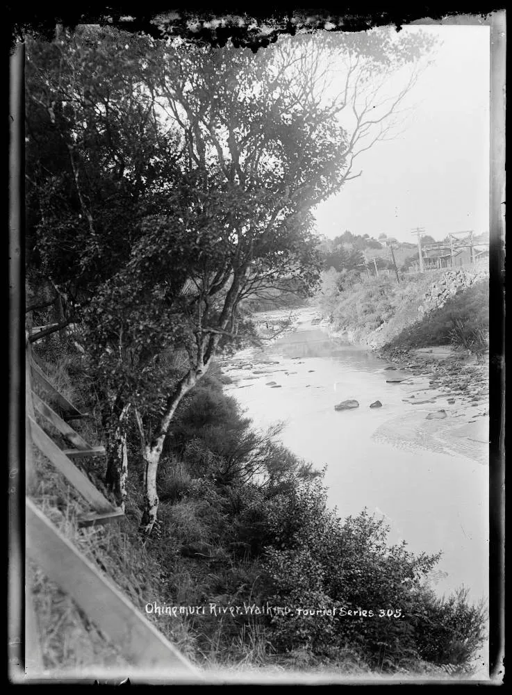 Ohinemuri River, Waikino