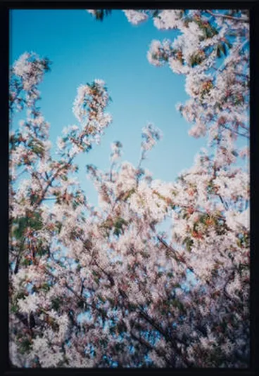 Image: Auckland (Mount Eden)