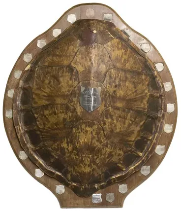Image: Shield, Athletics