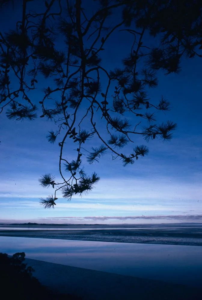 New Zealand Scenery: