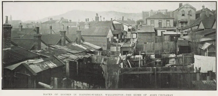 Backs of houses in Haining Street, Wellington - the home of John Chinaman