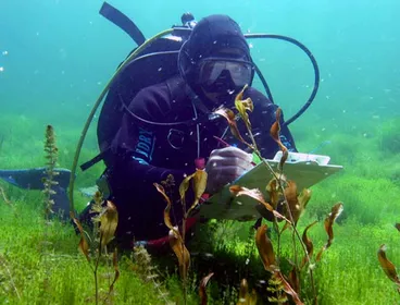 Scientific investigation Image: Scientific investigation