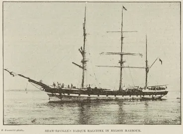 Image: Shaw-Saville's barque Halcione in Nelson harbour