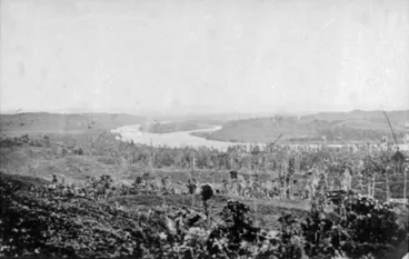Image: Scene with the Waikato River