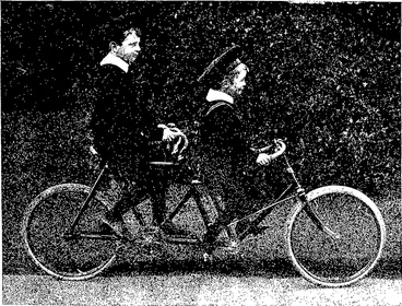 Image: Untitled Illustration