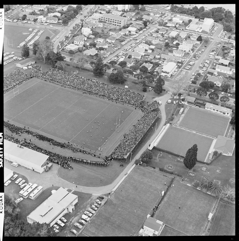 Aerial view of Tauranga domain