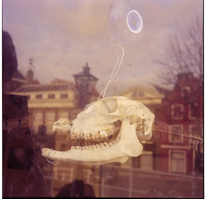 Holland, The Netherlands