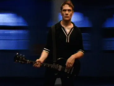 Cat Inna Can Image: Cat Inna Can