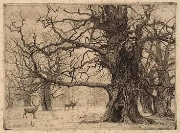 Image: Epping Forest