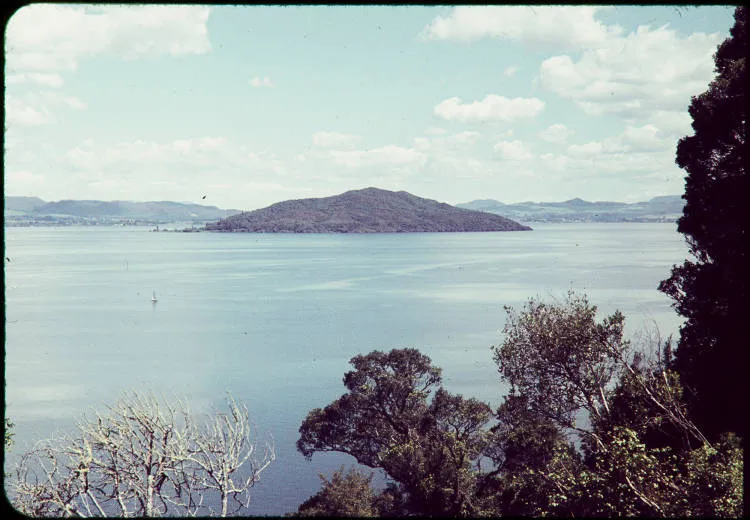 Mokoia Island, Lake Rotorua, 1962