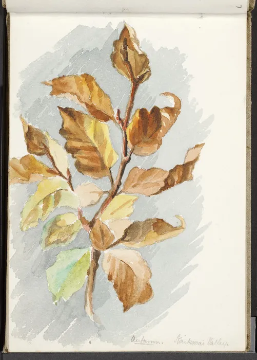 Hill, Mabel 1872-1956 :Autumn. Kaikarai Valley. [April 1890?]