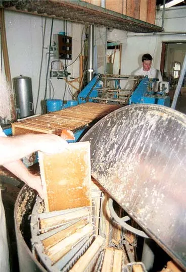 Image: Extracting honey