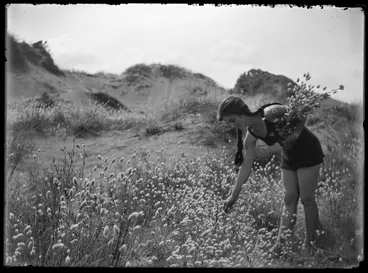 Image: Nature studies - 1929