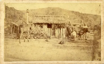 Image: Thomas Potter Lister's house, Pukearuhe Armed Constabulary Station