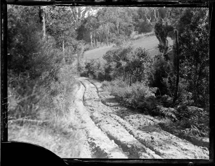 Cart tracks in the mud in a road in Albany, 1905