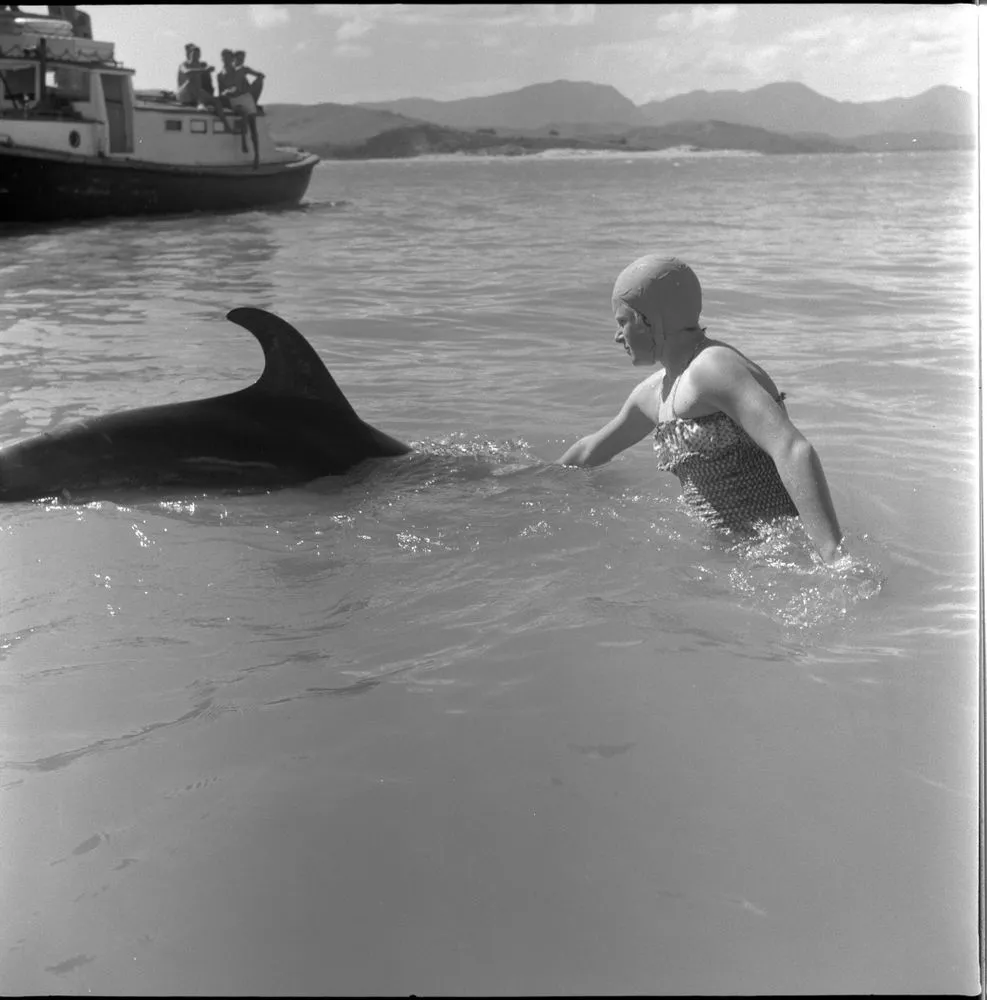 Opo the dolphin, Opononi