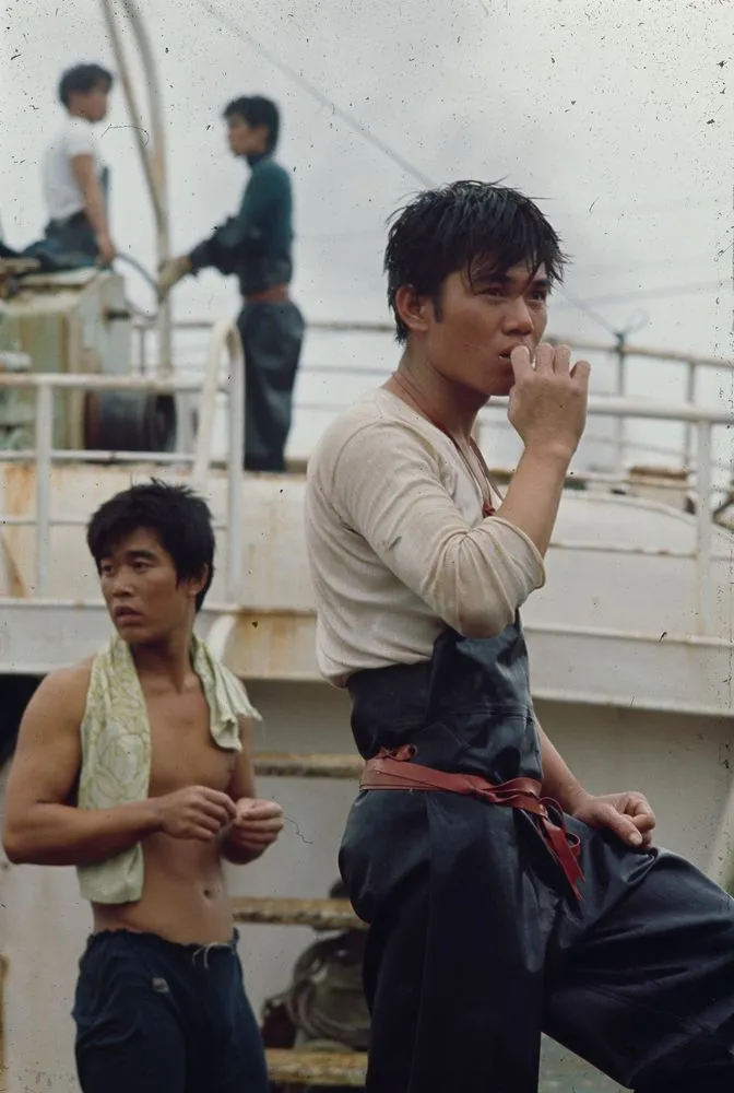 Japan Series: Tokyo Fish Market