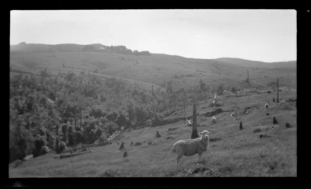 Horowhenua Geological and Tararua Range