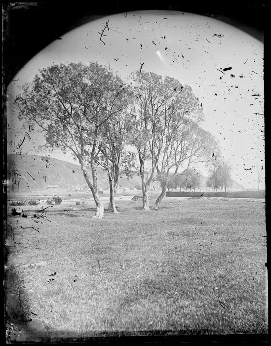 Grassed flood plain next to river, featuring trees, stopbank, buildings in background, possibly Hutt Valley