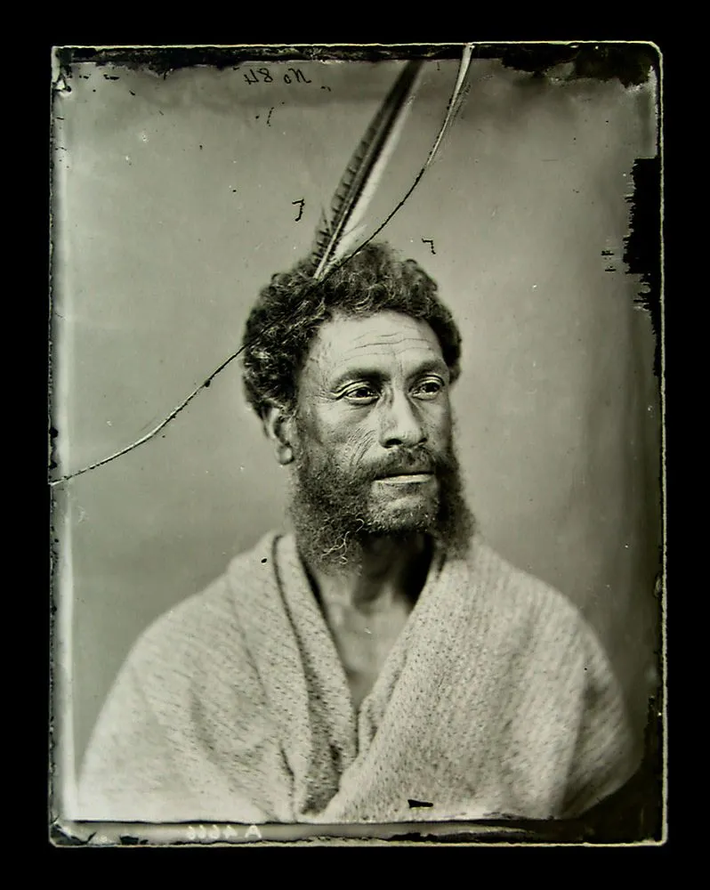Maori man, bearded, moko, feather in hair