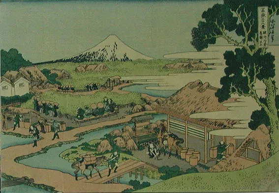 Sunshû Katakura Chaen no Fuji