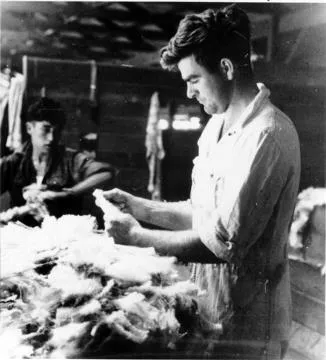Two workers woolclassing at Brancepeth Station