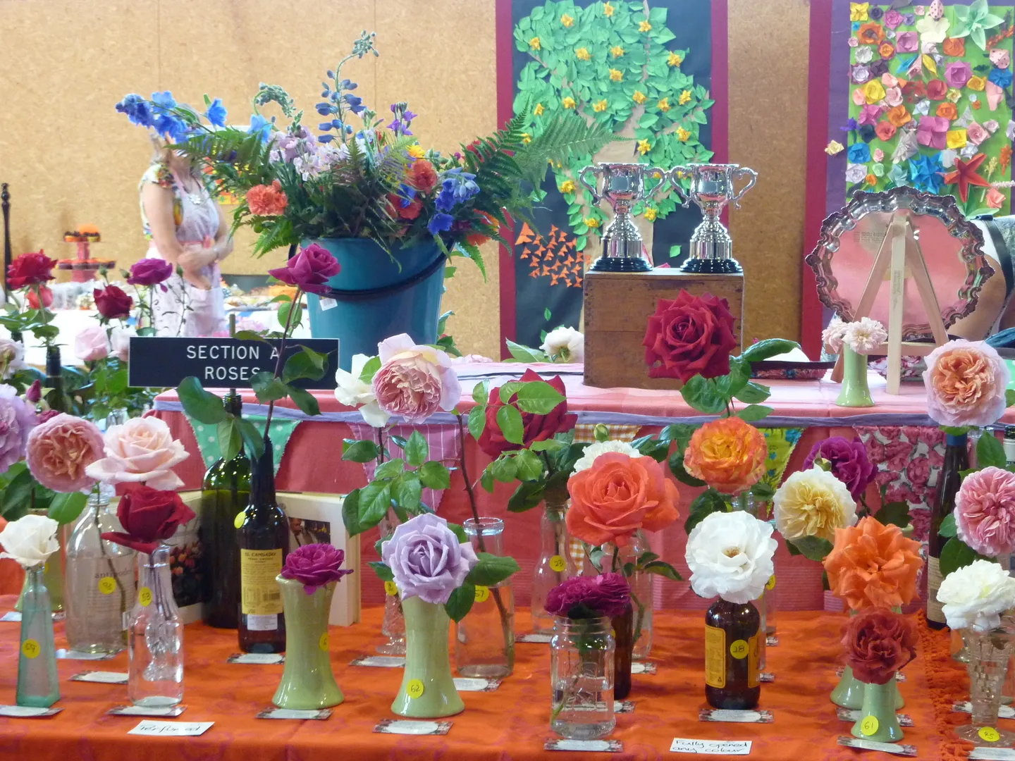 Lyttelton Rose Show