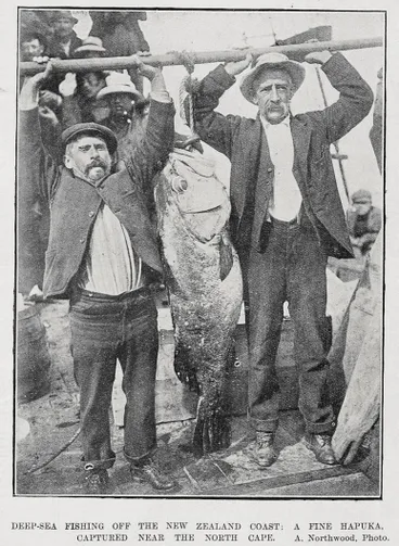 Image: Deep-Sea Fishing Off The New Zealand Coast