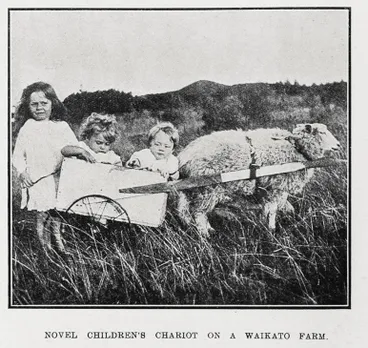 Image: Novel Children's Chariot on a Waikato Farm