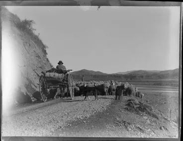 Image: Horse and cart behind flock of sheep being driven along a rural road, including sheepdog, drover, and river valley in background, location unknown