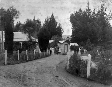 Image: Grounds at hotel, Wairakei; Mt Tauhara in background