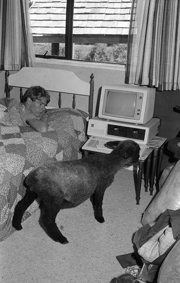 Waterfront Credit Union, Man Image: Waterfront Credit Union, Man