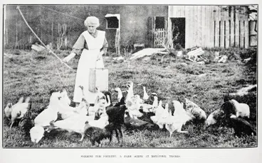 Image: Feeding the poultry: a farm scene at Matatoke, Thames