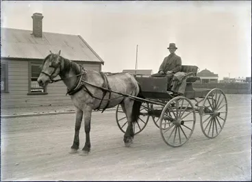 Image: Unidentified man with Horse and Buggy